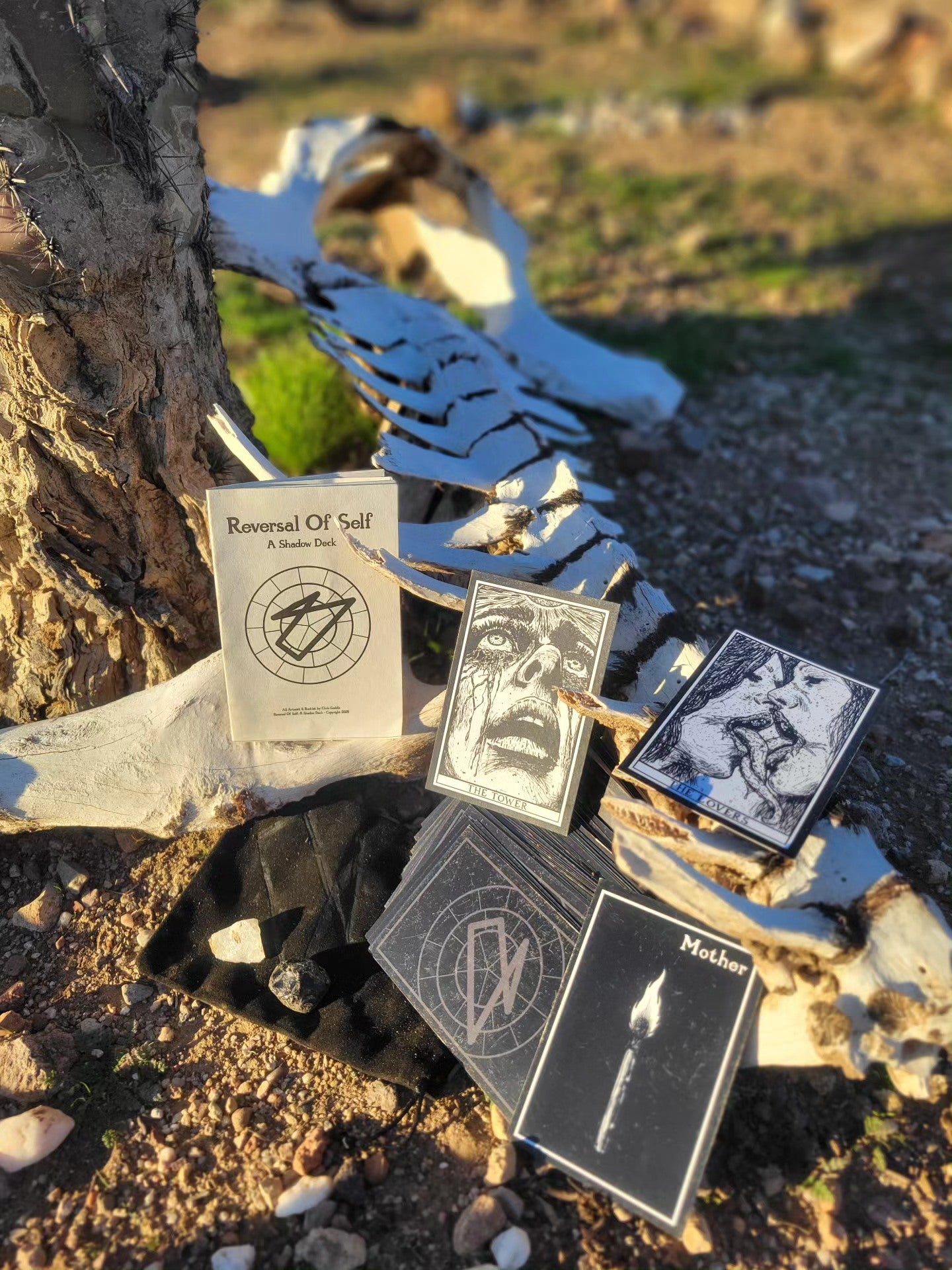 Reversal of Self Tarot Deck